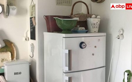 फ्रिज के ऊपर गलती से भी न रखें ये चीजें, हो जाएगा बड़ा नुकसान