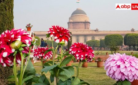 राष्ट्रपति भवन को अंदर से देखने का बना रहे प्लान, जानें कैसे होगी बुकिंग और कहां मिलेगा टिकट?
