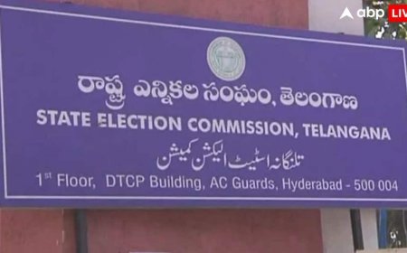 नगर निकाय चुनावों में नामांकन जांच पूरी, 19,608 उम्मीदवार मैदान में, 3 फरवरी को होगी असली कसरत