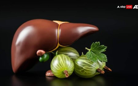 आम के आम, गुठलियों के दाम! कहावत को चरितार्थ करता है आंवला, औषधीय गुणों से है भरपूर