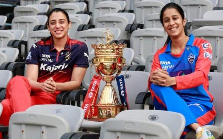 RCB vs DC Final: फाइनल शुरू होने से पहले दिल्ली कैपिटल्स बन गई चैंपियन? जानिए सोशल मीडिया पर दावों का सच