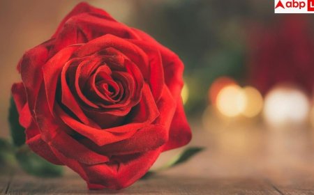 Rose Day 2026: क्या रोज डे पर एक्स को दे सकते हैं गुलाब, जान लें क्या कहते हैं रिलेशनशिप एक्सपर्ट?