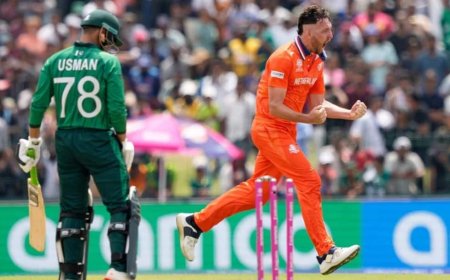 हारते-हारते बचा पाकिस्तान, नीदरलैंड्स उलटफेर करने से चूका; सांसे रोक देने वाला हुआ मुकाबला