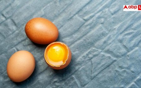 Best Natural Sources: प्रोटीन से लेकर आयरन और कैल्शियम तक, जानें किस फूड से क्या मिलता है सबसे ज्यादा?