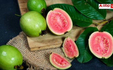 Guava Side Effects: कुछ लोगों को दिक्कत क्यों देता है अमरूद, जानें किन 4 लोगों को इसे खाने से करना चाहिए परहेज?