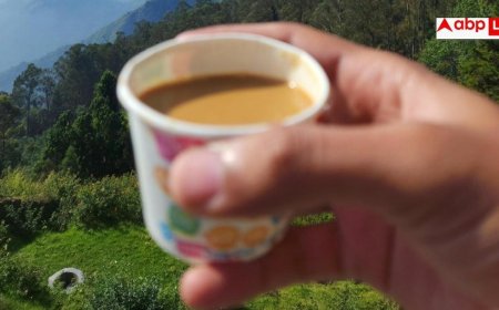 Tea In Plastic Cups: ऑफिस के बाहर प्लास्टिक के कप में पीते हैं चाय, हो सकती है यह जानलेवा बीमारी