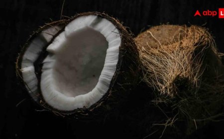 प्लास्टिक स्क्रबर को कहें अलविदा! नारियल से घर पर तैयार करें बर्तन साफ करने का नेचुरल स्क्रबर