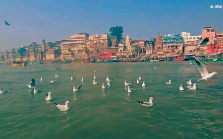 काशी में 'मसान की होली' पर फिर विवाद! विद्वानों ने जताई आपत्ति, कहा- इससे समाज में विकृति फैलेगी