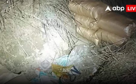 Baramulla IED: जहां से गुजरने वाला था सेना का काफिला, आतंकियों ने वहीं लगाया भारी मात्रा में विस्फोटक, बड़ा हादसा टला