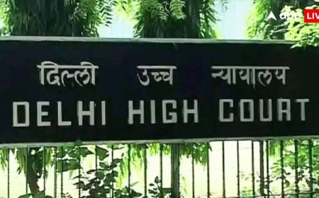 'अगर सांसद को टेरर फंडिंग केस में रिहा किया तो...', इंजीनियर राशिद की याचिका पर दिल्ली HC ने NIA से पूछा