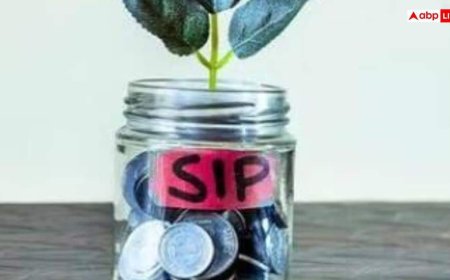 लॉन्ग टर्म SIP कैलकुलेशन; 1000 से 3000 रुपये तक निवेश पर संभावित रिटर्न का पूरा हिसाब, जानें डिटेल