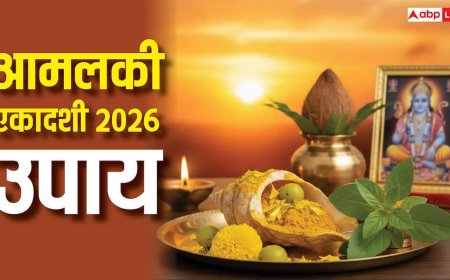 Amalaki Ekadashi 2026: आमलकी एकादशी पर करें पीले चंदन, तुलसी और शंख का उपाय, चमकेगा भाग्य