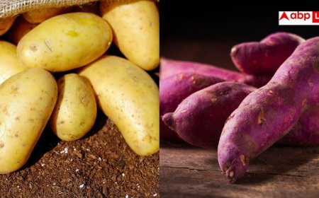 Potato vs Sweet Potato: आलू खाएं या शकरकंद... ब्लड शुगर में कौन सी चीज है बेहतर?