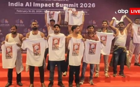 'देश की छवि को नुकसान...', AI समिट में कांग्रेस के शर्टलैस प्रोटेस्ट पर दिल्ली कोर्ट की बड़ी टिप्पणी