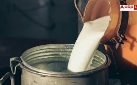 Cow Milk Vs Buffalo Milk: क्या बेहतर दिमाग के लिए भैंस से अच्छा होता है गाय का दूध, राजस्थान मिनिस्टर का दावा कितना सही?