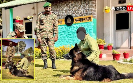 भारतीय सेना के बहादुर डॉग टायसन की अब कैसी है तबीयत? ऑपरेशन त्राशी-1 के दौरान पैरों में लगी थी गोली, मिल गया अपडेट