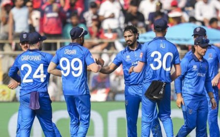 क्रिकेट का खेल शर्मसार, टी20 वर्ल्ड कप के बीच बड़े अधिकारी पर यौन उत्पीड़न के संगीन आरोप, जानें पूरा मामला