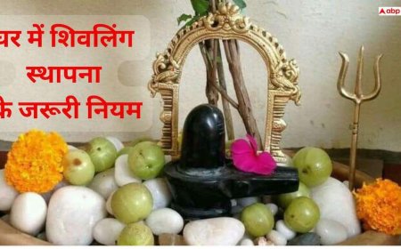 Vastu Rules: घर में शिवलिंग स्थापना से पहले जान लें ये जरूरी नियम, वरना बढ़ सकता है वास्तु दोष