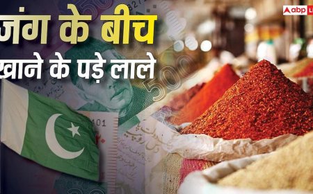 Pakistan Wheat Crisis: पाकिस्तान में भुखमरी की नौबत? खाने को नहीं दाने, चले अफगानिस्तान से जंग लड़ने