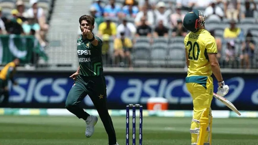 पाकिस्तान ने फिर ऑस्ट्रेलिया को रौंदा, इस बार 90 रनों से जीता मैच; टी20 वर्ल्ड कप से पहले जीत ली सीरीज