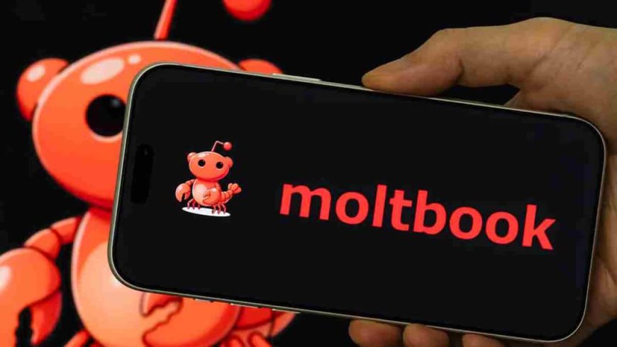 Tech Future: क्या है Moltbook जहां AI बना रहा अपना धर्म, भाषा और समाज, जानिए पूरी जानकारी