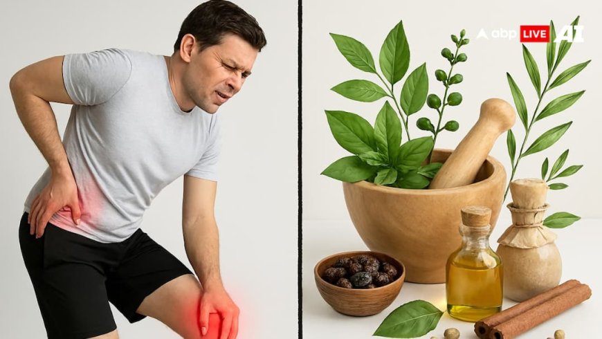 Health Tips: दर्द के मूल कारण पर पतंजलि का आयुर्वेदिक इलाज, पीड़ानिल गोल्ड से मिलेगी राहत!