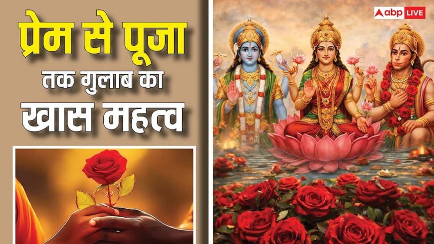 Rose Day 2026: प्रेम, भक्ति और अकीदत से जुड़ा है गुलाब, देवता से लेकर दरगाह तक...