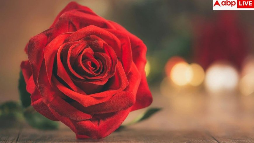 Rose Day 2026: क्या रोज डे पर एक्स को दे सकते हैं गुलाब, जान लें क्या कहते हैं रिलेशनशिप एक्सपर्ट?