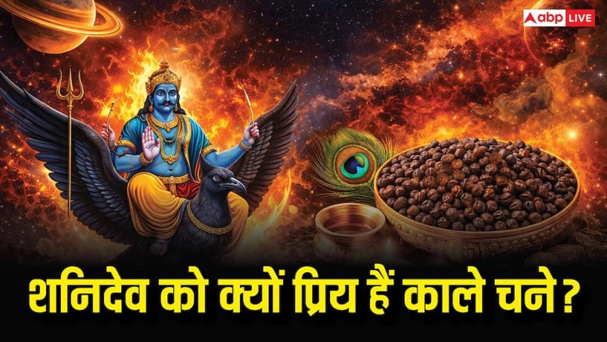 Shani Dev: काले चने से शनि दोष होगा दूर, जानें ज्योतिष उपाय और सेहत लाभ?