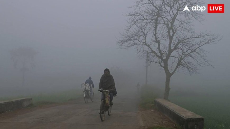 कब से ठंड हो जाएगी खत्म? मौसम विभाग ने बता दी तारीख, दिल्ली-यूपी समेत देश को राहत वाला अपडेट