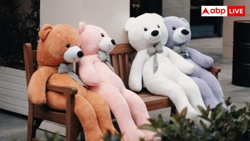 क्या पार्टनर को दे देते हैं किसी भी रंग का टैडी, 'टैडी डे' पर जानें किस रंग का क्या होता है मतलब?