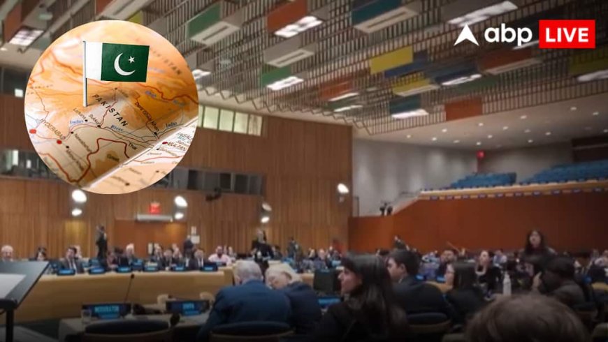 UNSC Report: UNSC की 37वीं रिपोर्ट में ABP न्यूज़ के Exclusive खुलासों पर मुहर, जैश की महिला विंग और दिल्ली ब्लास्ट में JeM की भूमिका पर UNSC की पुष्टि