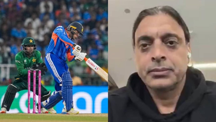 'इंडिया की टीम वर्ल्ड कप जीतने आई है', पाकिस्तान की हार के बाद ABP पर बोले शोएब अख्तर; अपने देश को ये क्या कह डाला?