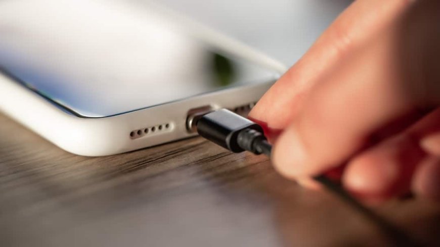 फोन के USB पोर्ट में भूलकर भी न लगा लें ये डिवाइसेस, हो जाएगा बड़ा नुकसान, खर्चा भी आएगा