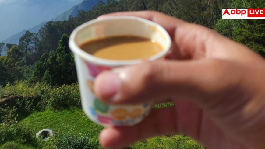 Tea In Plastic Cups: ऑफिस के बाहर प्लास्टिक के कप में पीते हैं चाय, हो सकती है यह जानलेवा बीमारी