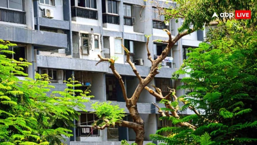 दिल्ली में 5-12 लाख रुपये सस्ते होंगे DDA फ्लैट्स, पार्किंग फीस को लेकर आया बड़ा फैसला