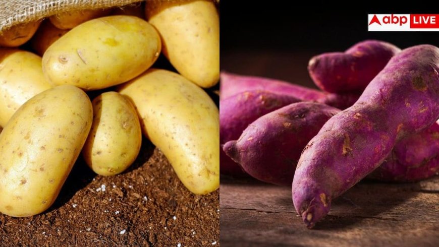 Potato vs Sweet Potato: आलू खाएं या शकरकंद... ब्लड शुगर में कौन सी चीज है बेहतर?
