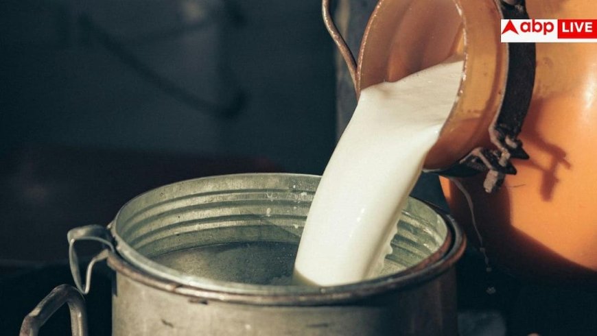 Cow Milk Vs Buffalo Milk: क्या बेहतर दिमाग के लिए भैंस से अच्छा होता है गाय का दूध, राजस्थान मिनिस्टर का दावा कितना सही?