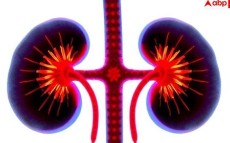 Kidney Damage Causes: किडनी का 'साइलेंट किलर', सिर्फ शुगर-बीपी नहीं, ये छिपी हुई आदतें भी कर रहीं किडनी को डैमेज