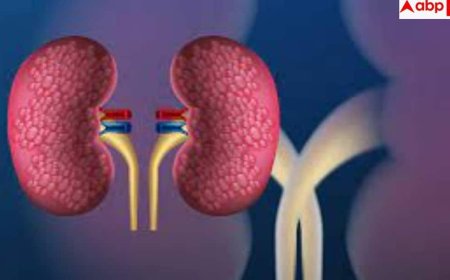 Kidney Failure Symptoms: कमर दर्द, बार-बार यूरिन या चेहरे पर सूजन... शरीर के इन संकेतों को न लें हल्के में, हो सकता है किडनी फेलियर!
