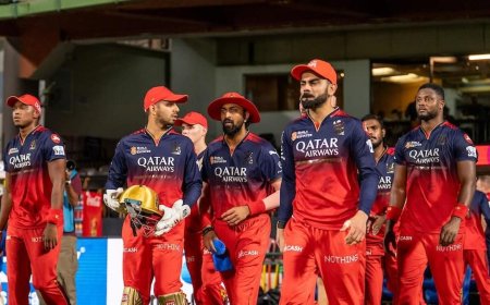 IPL 2026 से पहले RCB के क्रिकेट निदेशक ने विराट कोहली पर दिया बड़ा बयान, जानें क्या कुछ कहा