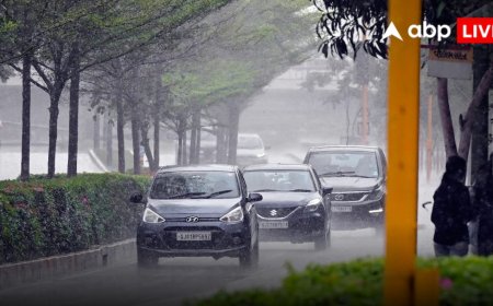 Weather Forecast: होली पर कैसा रहेगा मौसम, तेज आंधी और बारिश की चेतावनी कहां, जानें यूपी-बिहार, दिल्ली के लिए क्या चेतावनी?