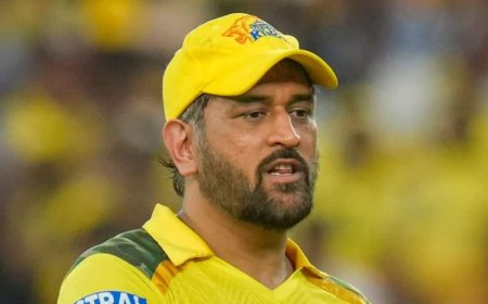 MS Dhoni ने तोड़ा ट्रैफिक रूल, तेज रफ्तार पर लगा जुर्माना; जानें कितना करना पड़ेगा भुगतान