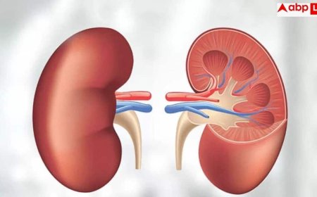 Kidney Disease Symptoms: क्या ठीक से काम कर रही है आपकी किडनी, घर में ही ऐसे कर सकते हैं चेक?