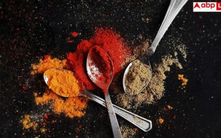 Pesticides In Spices: सेहत से समझौता! एवरेस्ट के मसालों में मिले कीटनाशक, जानें आपकी सेहत के लिए ये कितने खतरनाक?