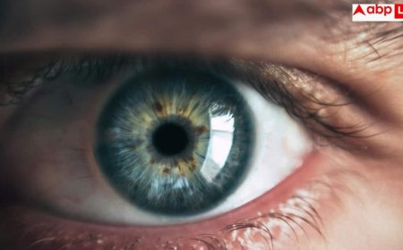 Burning Eyes Reasons: घंटों नहीं देखते स्क्रीन तो क्यों सूख रही हैं आपकी आंखें? जानिए ड्राई आई के छिपे कारण