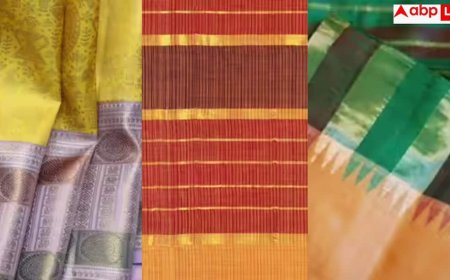 Lalitpur Zari Silk Saree: कारीगरी ऐसी कि देखते रह जाएं, जानें कैसे ललितपुर के करघों पर कैसे उतरती है रेशमी खूबसूरती?