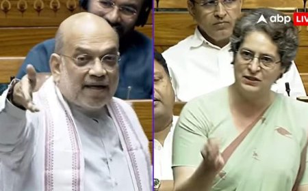 'अविश्वास प्रस्ताव राहुल गांधी पर नहीं था', अमित शाह के भाषण पर भड़कीं प्रियंका गांधी