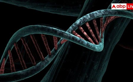 शरीर में किस वजह से बढ़ने लगता है यूरिक एसिड, इसमें कैसी होनी चाहिए डाइट