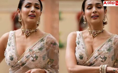 Malaika Arora Pink Saree: मलाइका अरोड़ा ने पहनी 2.79 लाख रुपये की साड़ी, पिंक कलर में लगीं एकदम गुलाबो
